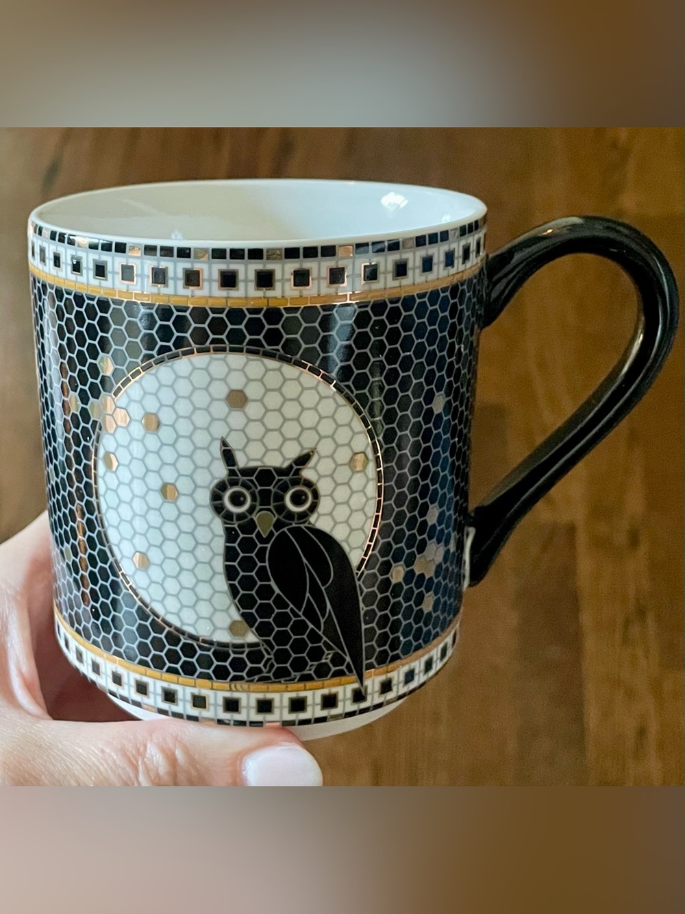 Anthropologie Bistro Tile Owl Moon Halloween Mug